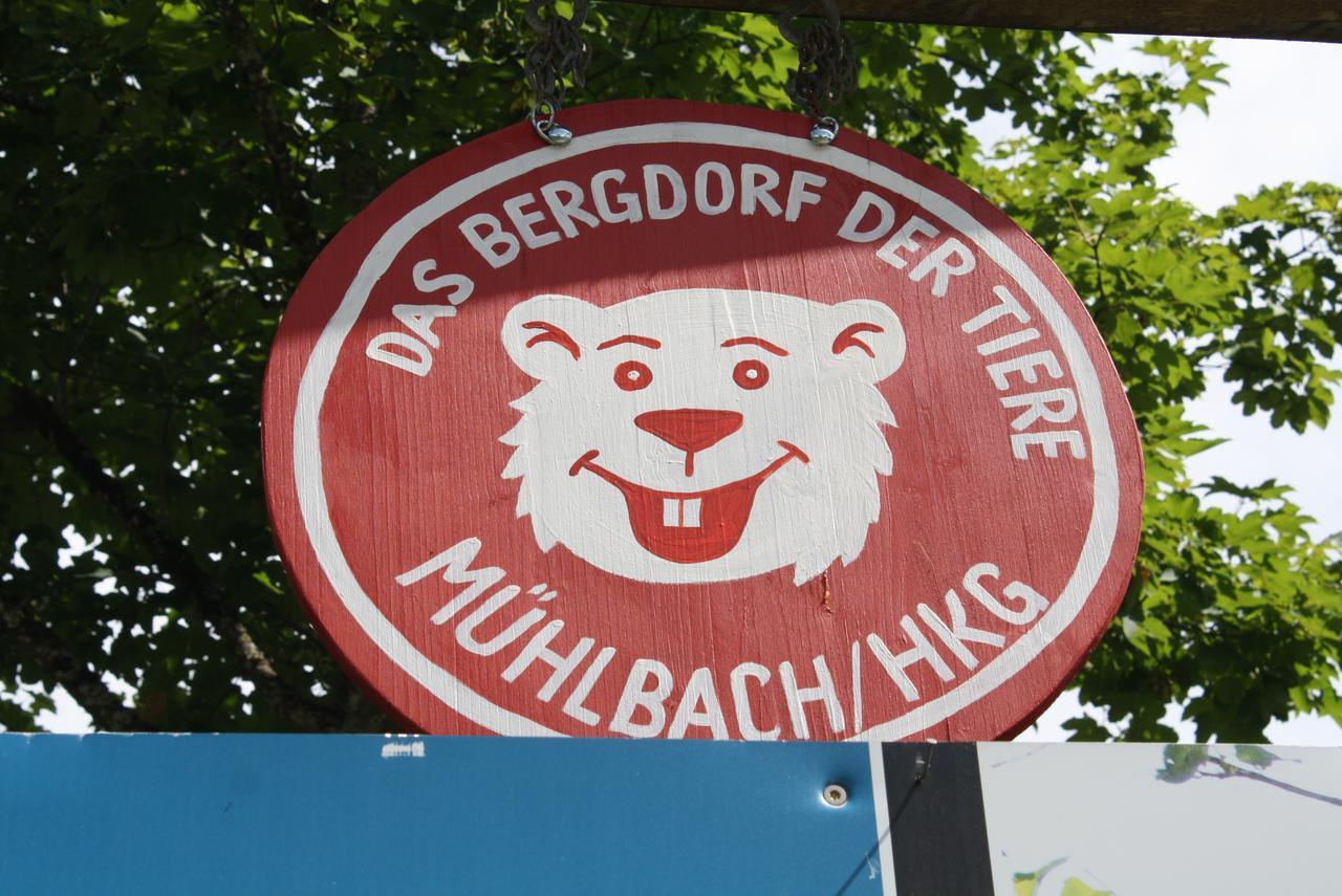 Muehlbach Alpendomizil II Lejlighed Mühlbach am Hochkönig Eksteriør billede