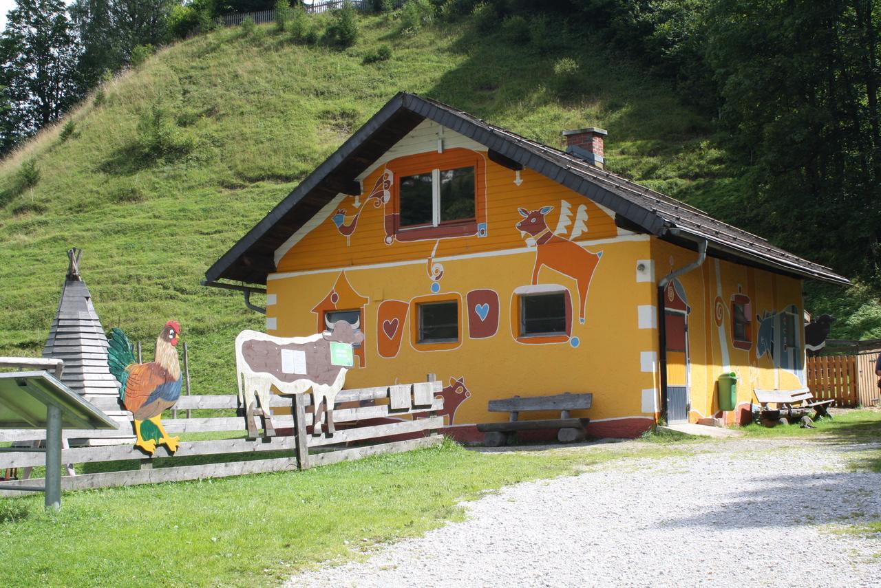 Muehlbach Alpendomizil II Lejlighed Mühlbach am Hochkönig Eksteriør billede